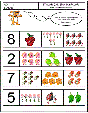 okul öncesi çocuklar için sayı çalışmaları